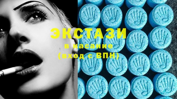 ECSTASY Богородицк