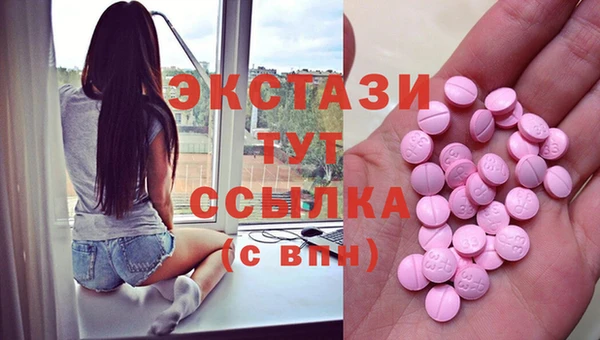 ECSTASY Богородицк