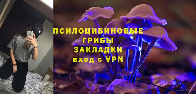 Псилоцибиновые грибы Magic Shrooms  наркотики  Каспийск 